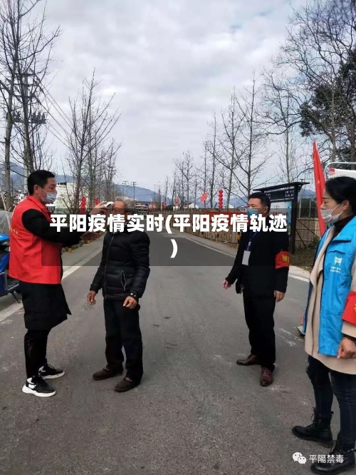 平阳疫情实时(平阳疫情轨迹)-第2张图片