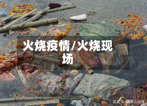 火烧疫情/火烧现场