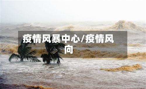 疫情风暴中心/疫情风向