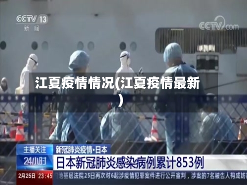 江夏疫情情况(江夏疫情最新)-第2张图片