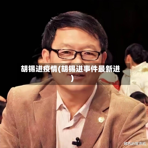 胡锡进疫情(胡锡进事件最新进)-第2张图片