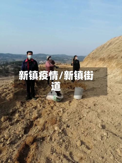 新镇疫情/新镇街道-第2张图片