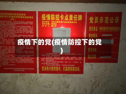 疫情下的党(疫情防控下的党)