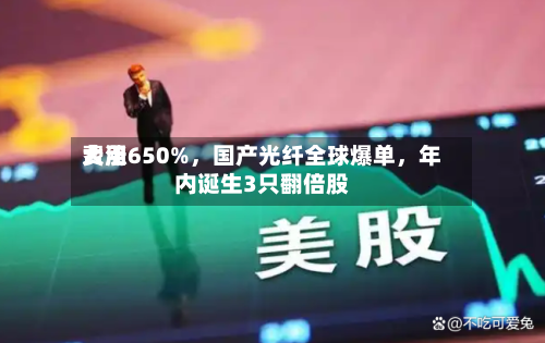 费用大涨650%，国产光纤全球爆单，年内诞生3只翻倍股-第2张图片