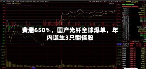费用大涨650%，国产光纤全球爆单，年内诞生3只翻倍股-第2张图片