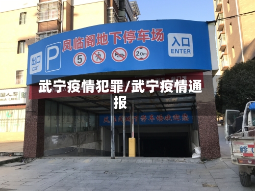 武宁疫情犯罪/武宁疫情通报-第3张图片
