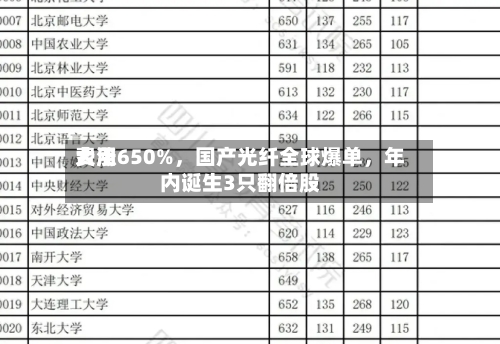 费用大涨650%，国产光纤全球爆单，年内诞生3只翻倍股-第2张图片