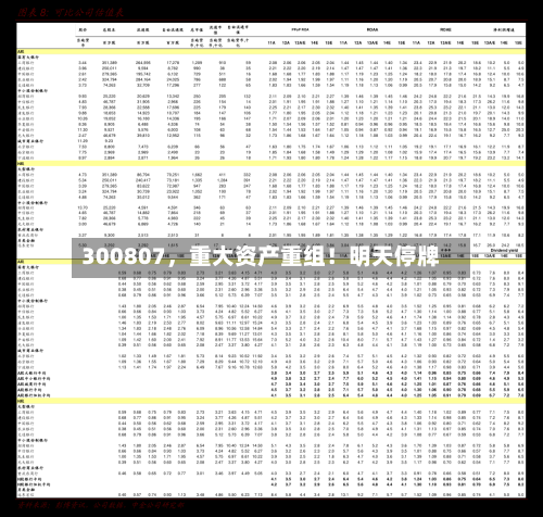 300807，重大资产重组！明天停牌-第2张图片