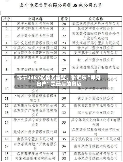 苏宁2387亿债务重整，张近东“净身出户	”是最后的豪迈-第2张图片