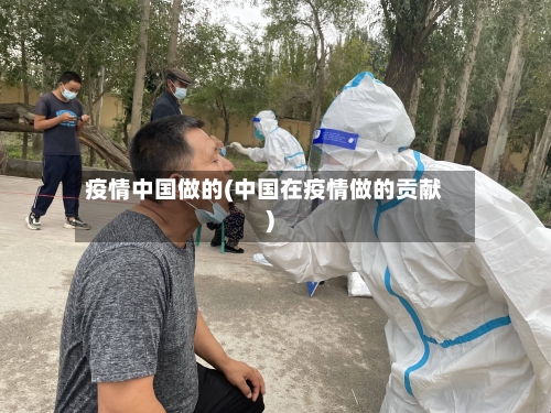 疫情中国做的(中国在疫情做的贡献)-第3张图片
