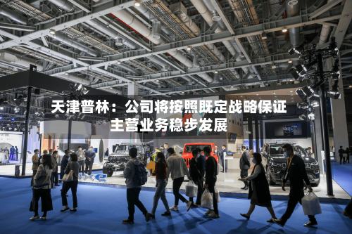 天津普林：公司将按照既定战略保证主营业务稳步发展-第2张图片