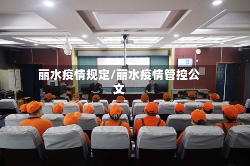 丽水疫情规定/丽水疫情管控公文-第2张图片