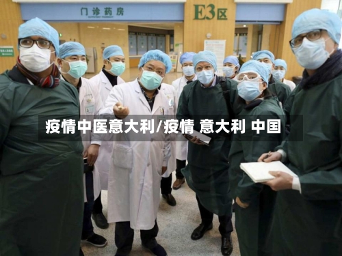 疫情中医意大利/疫情 意大利 中国-第2张图片