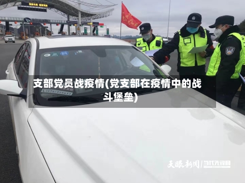 支部党员战疫情(党支部在疫情中的战斗堡垒)-第3张图片