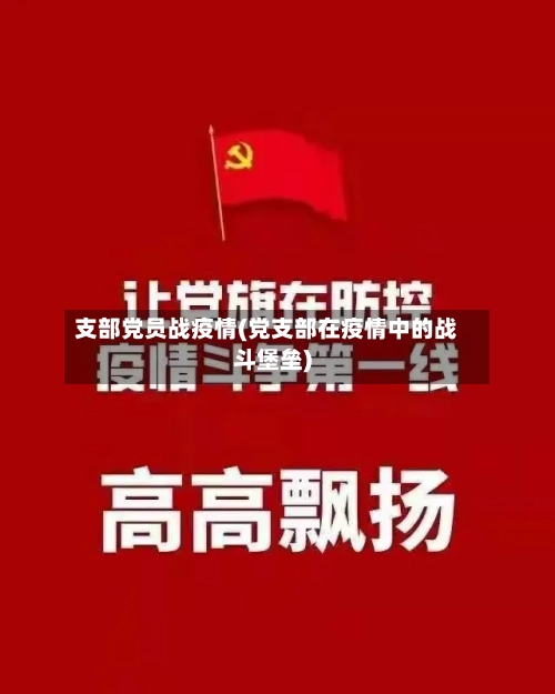 支部党员战疫情(党支部在疫情中的战斗堡垒)-第2张图片
