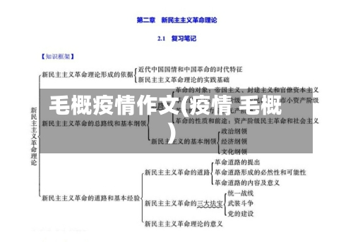 毛概疫情作文(疫情 毛概)