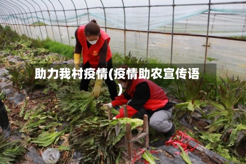 助力我村疫情(疫情助农宣传语)-第2张图片