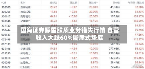 国海证券踩雷股质业务错失行情 自营收入大跌60%断崖式垫底-第2张图片