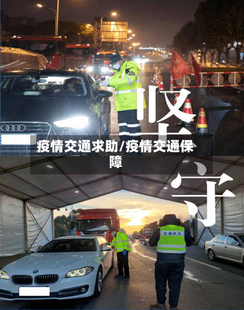 疫情交通求助/疫情交通保障