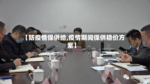 【防疫情保供给,疫情期间保供稳价方案】