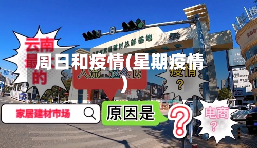 周日和疫情(星期疫情)