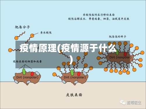 疫情原理(疫情源于什么)-第2张图片