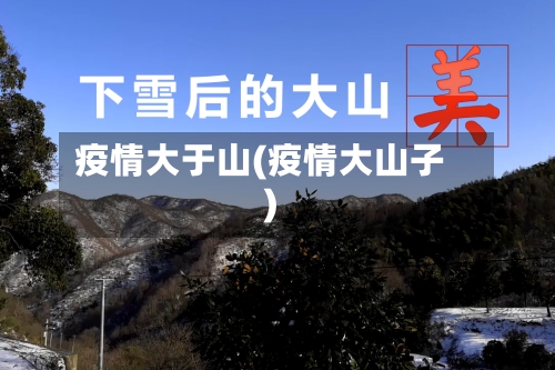 疫情大于山(疫情大山子)
