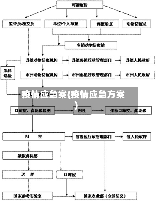 疫情应急案(疫情应急方案)-第3张图片