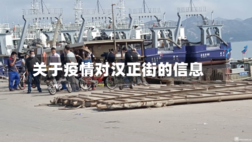 关于疫情对汉正街的信息