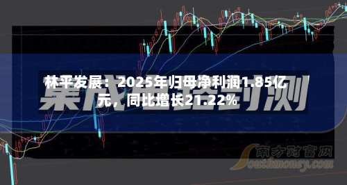 林平发展：2025年归母净利润1.85亿元，同比增长21.22%