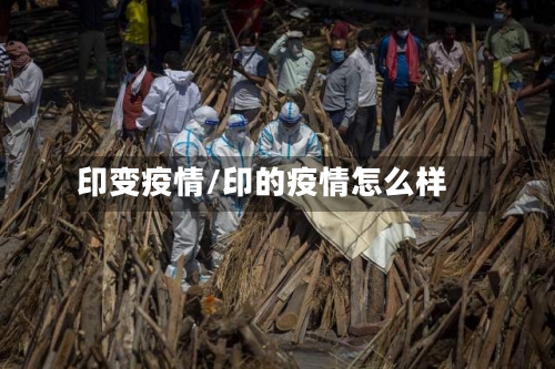 印变疫情/印的疫情怎么样
