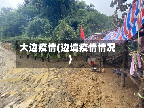 大边疫情(边境疫情情况)-第2张图片