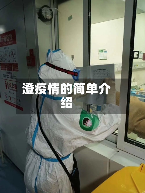 澄疫情的简单介绍