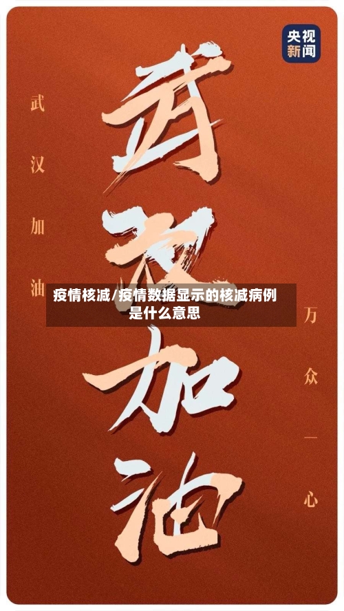 疫情核减/疫情数据显示的核减病例是什么意思-第3张图片