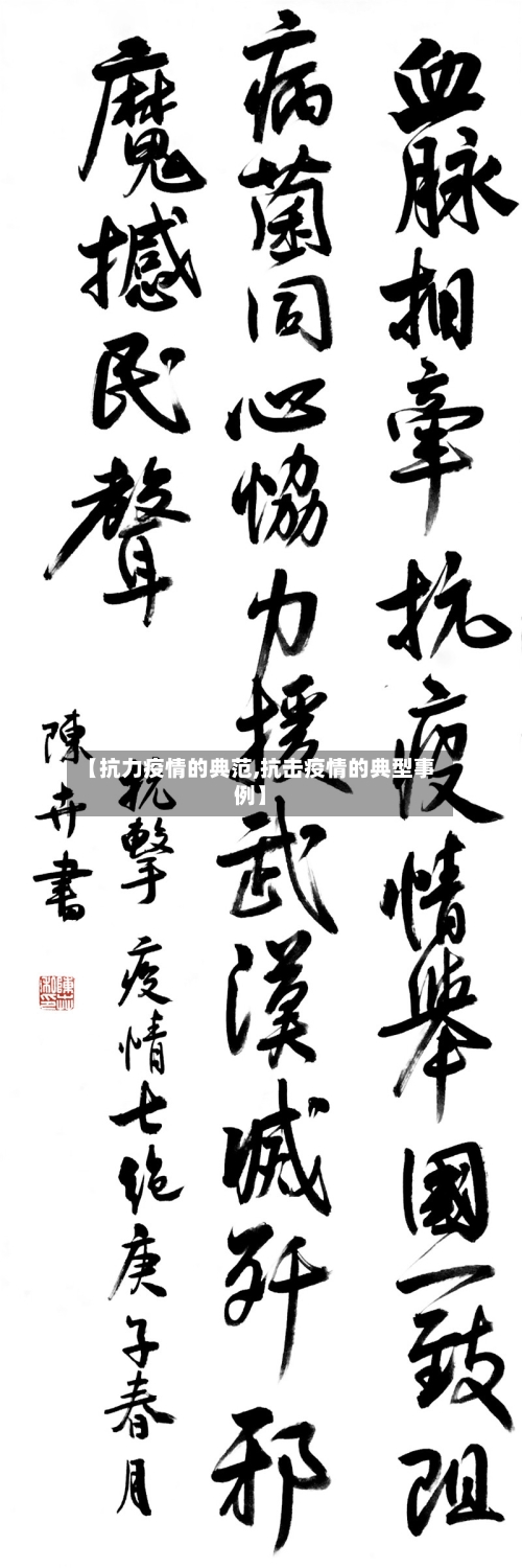 【抗力疫情的典范,抗击疫情的典型事例】-第2张图片