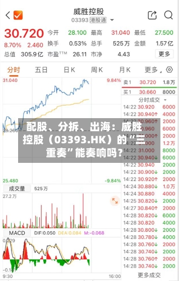配股、分拆、出海：威胜控股（03393.HK）的“三重奏”能奏响吗？-第2张图片
