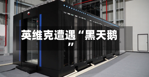 英维克遭遇“黑天鹅	”-第2张图片