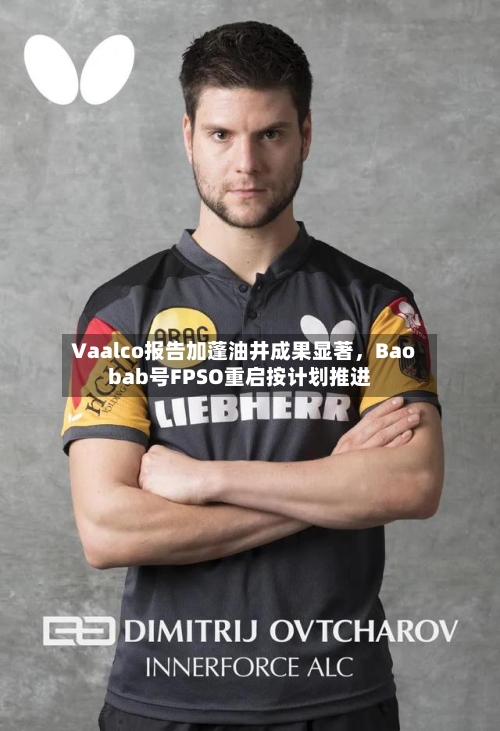 Vaalco报告加蓬油井成果显著	，Baobab号FPSO重启按计划推进-第2张图片