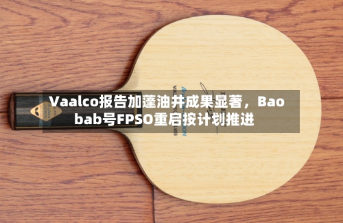 Vaalco报告加蓬油井成果显著，Baobab号FPSO重启按计划推进