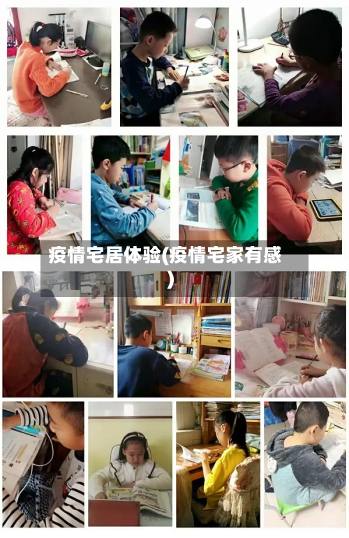 疫情宅居体验(疫情宅家有感)