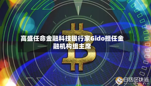 高盛任命金融科技银行家Gido担任金融机构组主席