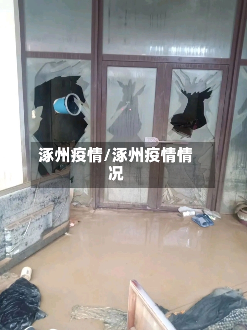 涿州疫情/涿州疫情情况-第3张图片