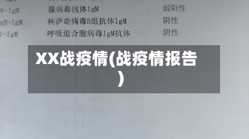XX战疫情(战疫情报告)
