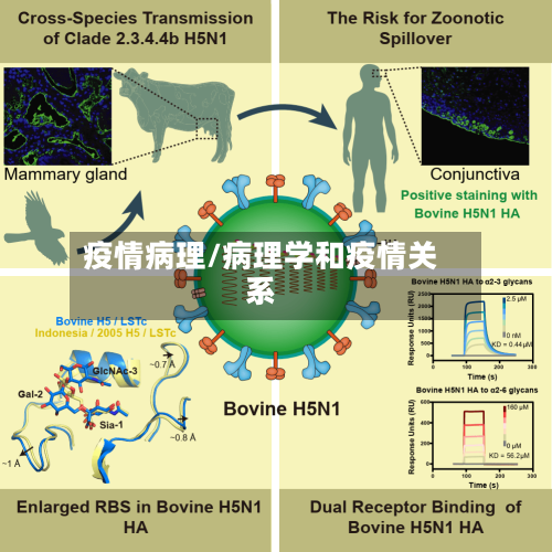 疫情病理/病理学和疫情关系-第3张图片