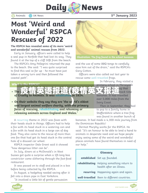 疫情英语报道(疫情英文报道)-第2张图片