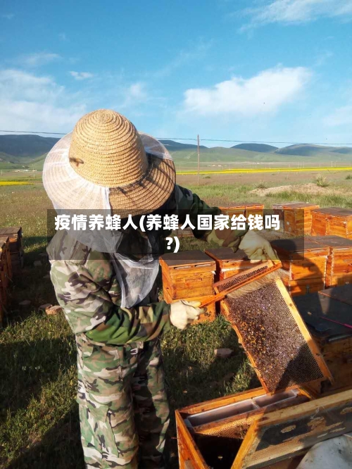 疫情养蜂人(养蜂人国家给钱吗?)