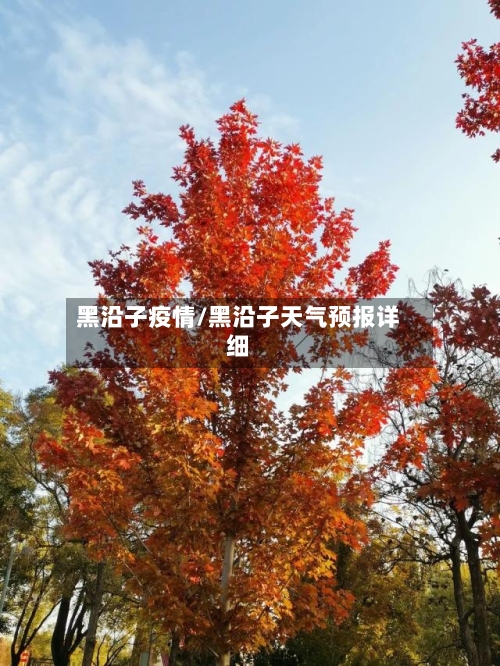黑沿子疫情/黑沿子天气预报详细