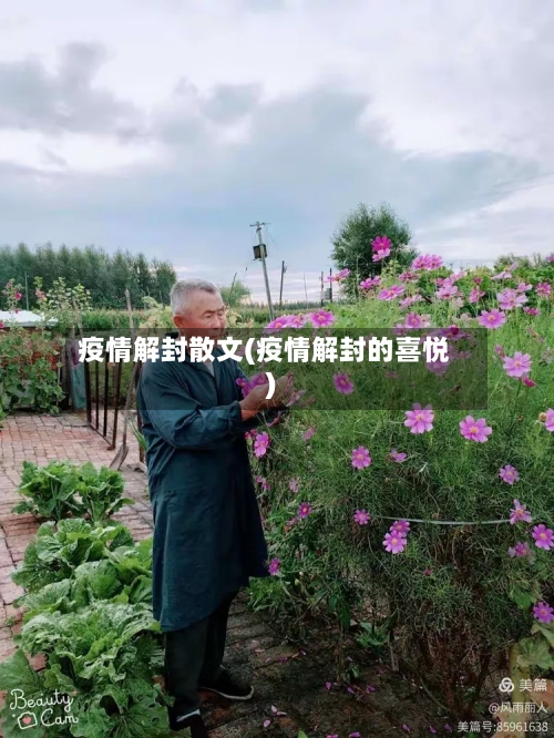 疫情解封散文(疫情解封的喜悦)-第2张图片