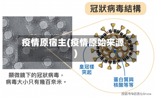 疫情原宿主(疫情原始来源)-第2张图片