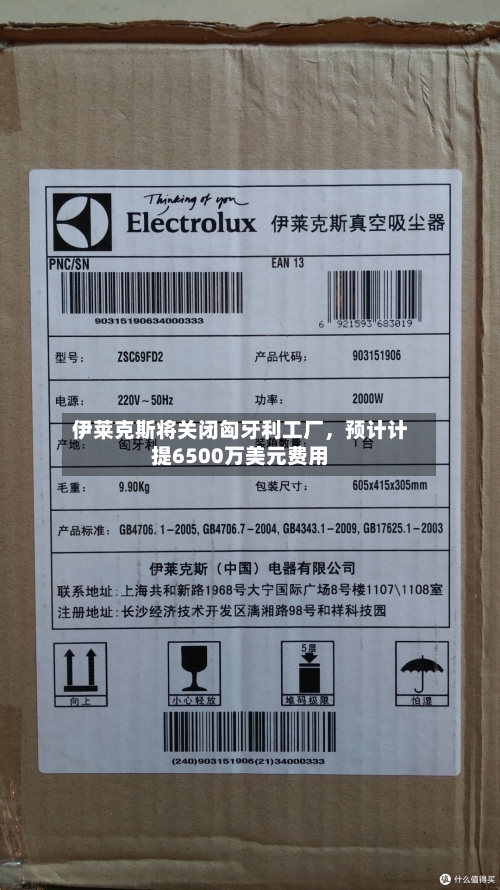 伊莱克斯将关闭匈牙利工厂，预计计提6500万美元费用-第2张图片